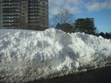 7. После мартовского снегопада в Торонто.
