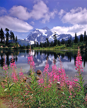 A lake in North Cascades in Washington