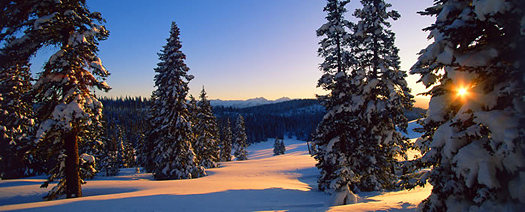 Winter Sunset #1 – White River National Forest near Aspen